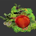 Vibrant Plant Display With Red Mushroom White Daisies Green Leaves Acorns Clover And Grassy Base
