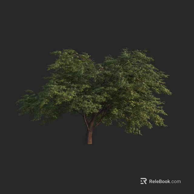 Single Arbor with Lush Green Foliage and Brown Trunk in Natural Growth 3d model 