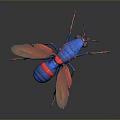 3D Rendered Insect With Blue Red Body Transparent Wings And Beige Legs