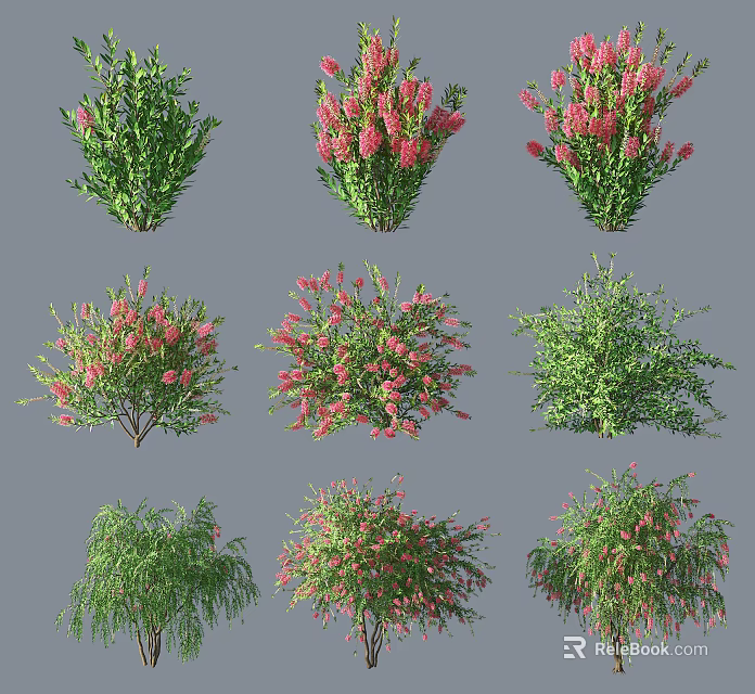 Colorful Flowering Bushes With Pink Blooms Green Foliage And Various Shapes 3d model 