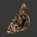 Moth Wings Featuring Intricate Patterns Eye Like Markings Tattered Edges And Brown Purple White Hues