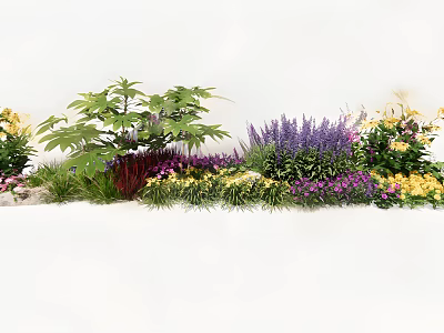 Vibrant Garden Flowers With Purple Yellow Blooms And Lush Green Foliage 3d model