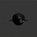 Realistic 3D Whale Model with Detailed Body Fins and Dark Background