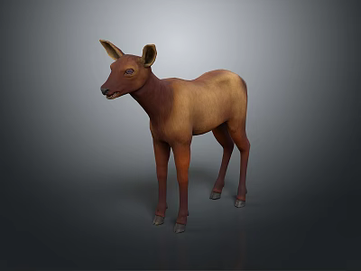 Brown and Light Brown Fawn Standing on Gray Background 3D Rendering Model 3d model