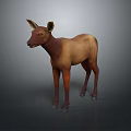 Brown and Light Brown Fawn Standing on Gray Background 3D Rendering Model
