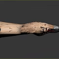 Flying Animal Head 3D Model With Detailed Realistic Brown Feathers Red Eyes And Gray Beak