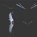 Transparent Feather And Crystal Decorations With Light Reflections On Black Background