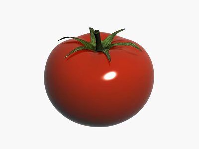 Beautiful Bonsai Potted Plant With Ripe Red Tomato And Green Leaves 3d model