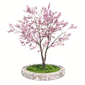 Beautiful Flowering Arbor With Pink Blossoms Green Grass And Stone Border