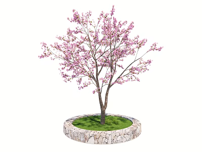 Beautiful Flowering Arbor With Pink Blossoms Green Grass And Stone Border 3d model