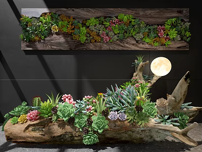 Succulent Bonsai Plants In Wooden Log Planter With Colorful Foliage And Natural Art Decor 3d model