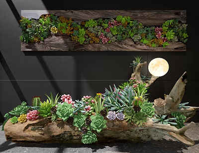 Succulent Bonsai Plants In Wooden Log Planter With Colorful Foliage And Natural Art Decor 3d model