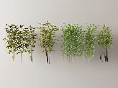 Modern bamboo 3d model