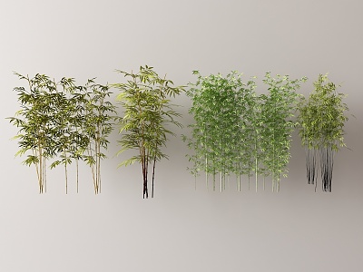 Modern bamboo 3d model