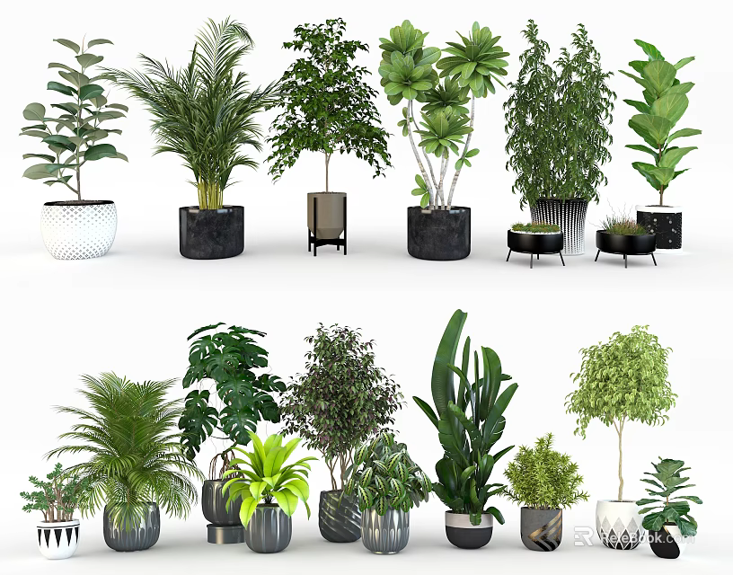 Various Green Indoor Potted Plants With Different Stylish Planters For Home Decor 3d model 