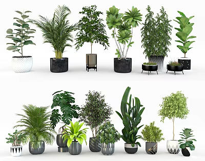 Various Green Indoor Potted Plants With Different Stylish Planters For Home Decor 3d model