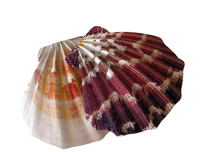 Shower Sauna Interior Design With Colorful Striped Fan Shaped Shell Decor Elements 3d model