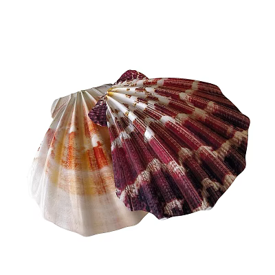 Shower Sauna Interior Design With Colorful Striped Fan Shaped Shell Decor Elements 3d model