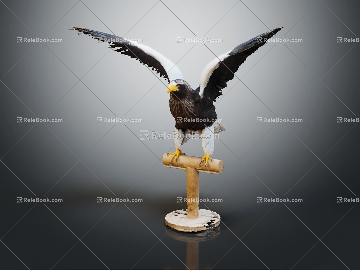 Modern Eagle Eagle 3d model