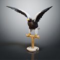 Modern Eagle Eagle 3d model