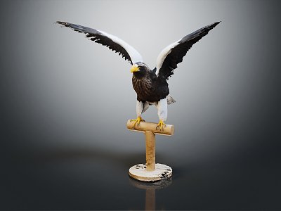 Modern Eagle 3d model