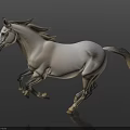 Beautiful White Horse Running Gracefully Against Black Background With Shiny Surface