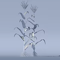 Growing Green Corn Plants With Yellow Tassels And Visible Roots On Light Blue Background