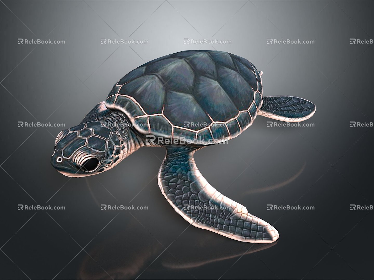 Turtle Turtle Cartoon Turtle Snapping Turtle Chickbill Turtle Reptile Cold Blooded Animal Reptile Reptile Class 3d model