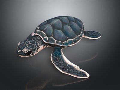 Turtle Cartoon Turtle Snapping Turtle Chickbill Turtle Reptile Cold Blooded Animal Reptile Class 3d model