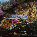 Vibrant Coral Reef with Colorful Tropical Fish and Diverse Marine Life Underwater