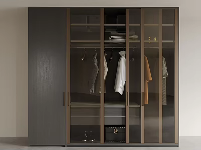 Modern Wardrobe With Glass Doors And Hanging Clothes Storage Space 3d model