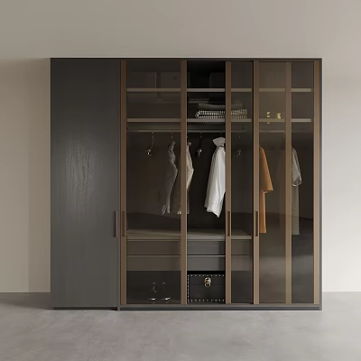 Modern Wardrobe With Glass Doors And Hanging Clothes Storage Space 3d model