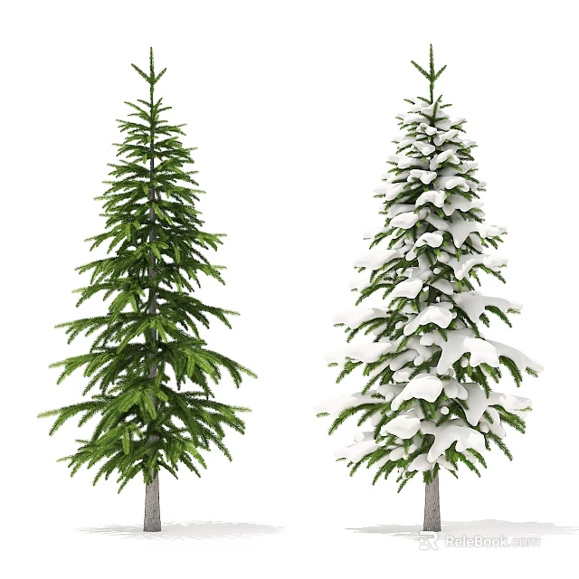 Two Evergreen Trees One Green Lush And One Snow Covered With Branches 3d model 