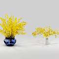 Two Vases with Yellow Flowering Branches Blue Patterned and White Minimalist Decorative