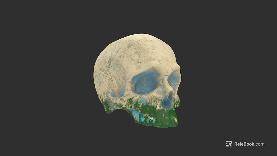 Artistic Skull Sculpture Carving With Colorful Earth Texture Creative Design Details 3d model 