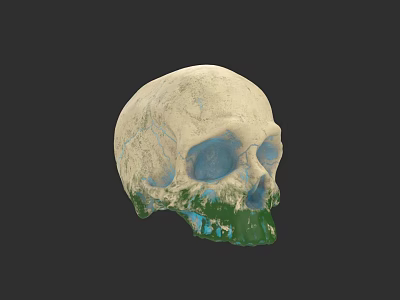 Artistic Skull Sculpture Carving With Colorful Earth Texture Creative Design Details 3d model