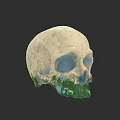 Artistic Skull Sculpture Carving With Colorful Earth Texture Creative Design Details