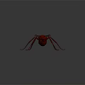 Realistic Red Ant 3D Model With Detailed Legs On Gray Background 3d model