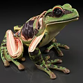 Anatomical Model Of Green Frog Showing Internal Structures 3d model