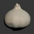 Fresh Whole Garlic Bulb With White Skin On Dark Background