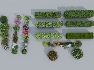 Various Types of Garden Shrubs Including Trimmed Hedges Round Bushes And Flowering Varieties 3d model