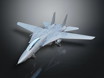 Silver Eagle Shaped Fighter Jet With Sharp Nose And Reflective Wings 3d model