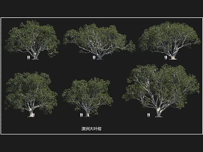 Lush Green Landscape Arbor with Various Natural Shapes for Outdoor Design 3d model