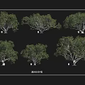 Lush Green Landscape Arbor with Various Natural Shapes for Outdoor Design
