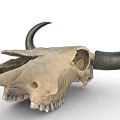 Detailed Bull Skull With Black Horns And Skeletal Features On White Background