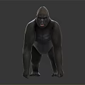 Detailed Realistic Gorilla 3D Model Crouching On Dark Reflective Surface 3d model