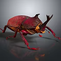 Red Beetle with Large Body Horns and Red Legs on Gray Background with Reflection