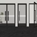 Modern Glass Double Doors With Black Frames In Interior Kitchen View And Plant