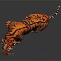 Sitting Tiger With Open Mouth And Orange Black Stripes On Gray Reflective Surface