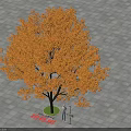 Tree With Orange Leaves And People Standing Under Gray Square Pavement Tiles
